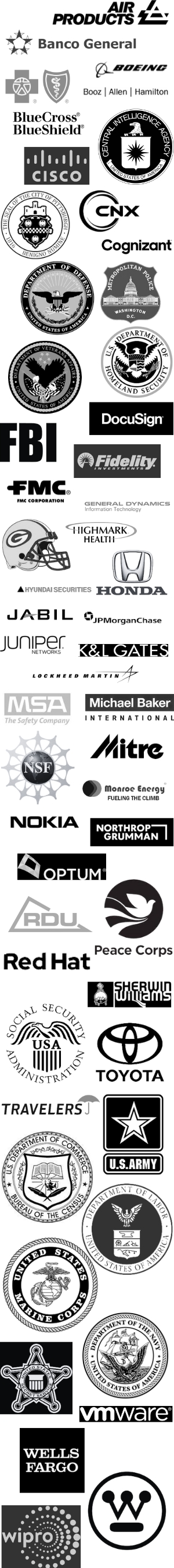 Graphic that includes the names of representative companies who have been recent participants in the CIO program, including: Air Products, Banco General, Boeing, BlueCross BlueShield, the CIA, CISCO, CNX, Cognizant, the City of Pittsburgh, U.S. Department of Defense, Washington DC Metropolitan Police, U.S. Department of Veterans' Affairs, U.S. Department of Homeland Security, DocuSign, FBI, Fidelity Investments, Greenbay Packers, Honda, and more...